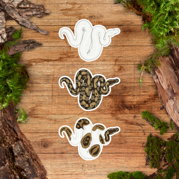 Dishwasher Safe Sticker