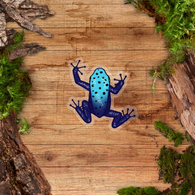 Transparent Dart Frog Sticker - Azureus Clear Sticker - Dendrobates tinctorius 'Azureus'
