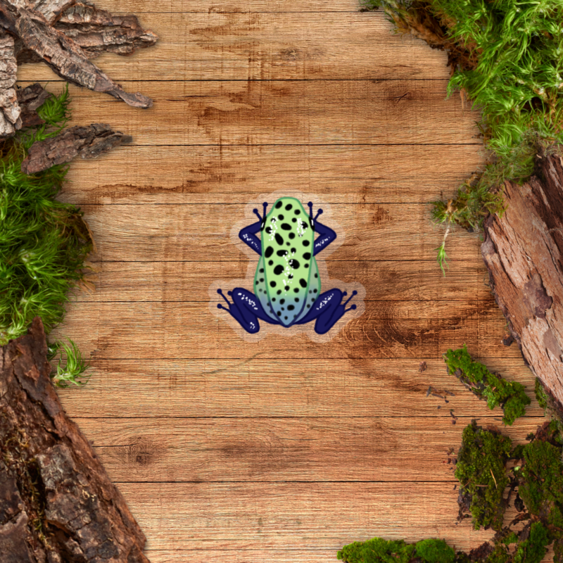 Transparent Dart Frog Sticker - Green Sips Clear Sticker - Dendrobates tinctorius 'Green Sipaliwini'