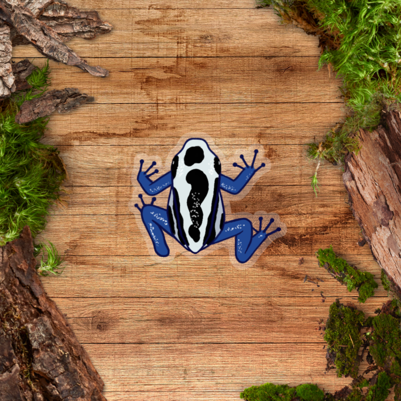 Transparent Dart Frog Sticker - Oyapock Clear Sticker - Dendrobates tinctorius 'Oyapock'
