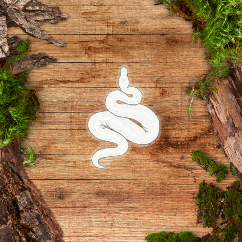 Transparent Sticker - Ball Python Blue Eyed Lucy Clear Sticker - Blue Eyed Lucy Ball Python