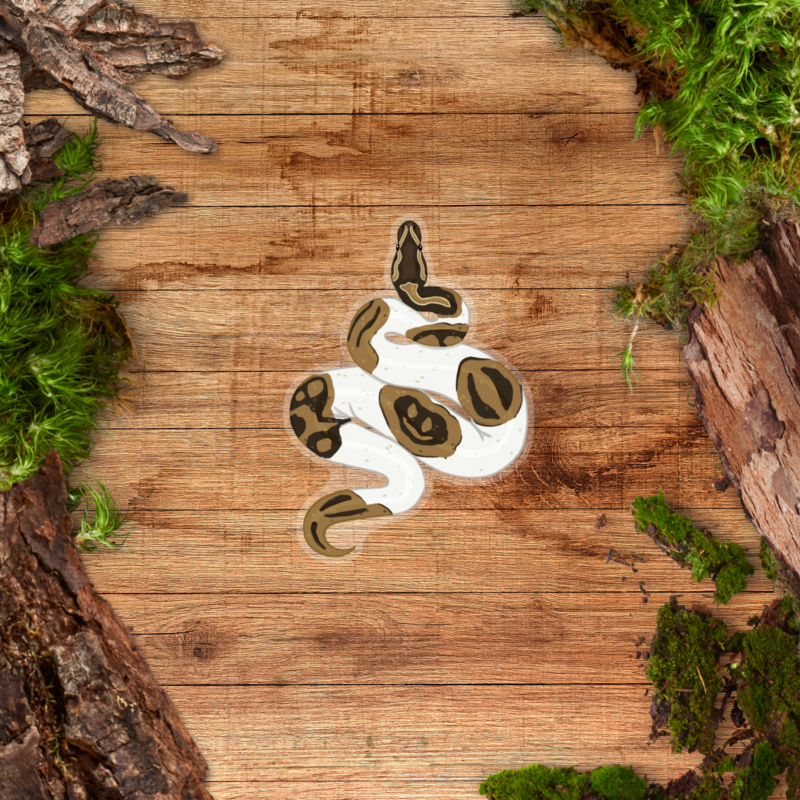 Transparent Sticker - Ball Python Pied Clear Sticker - Pied Ball Python