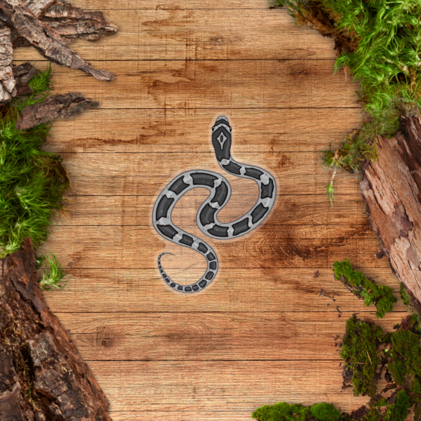 Transparent Sticker - Corn Snake Anery Clear Sticker - Anery Corn Snake