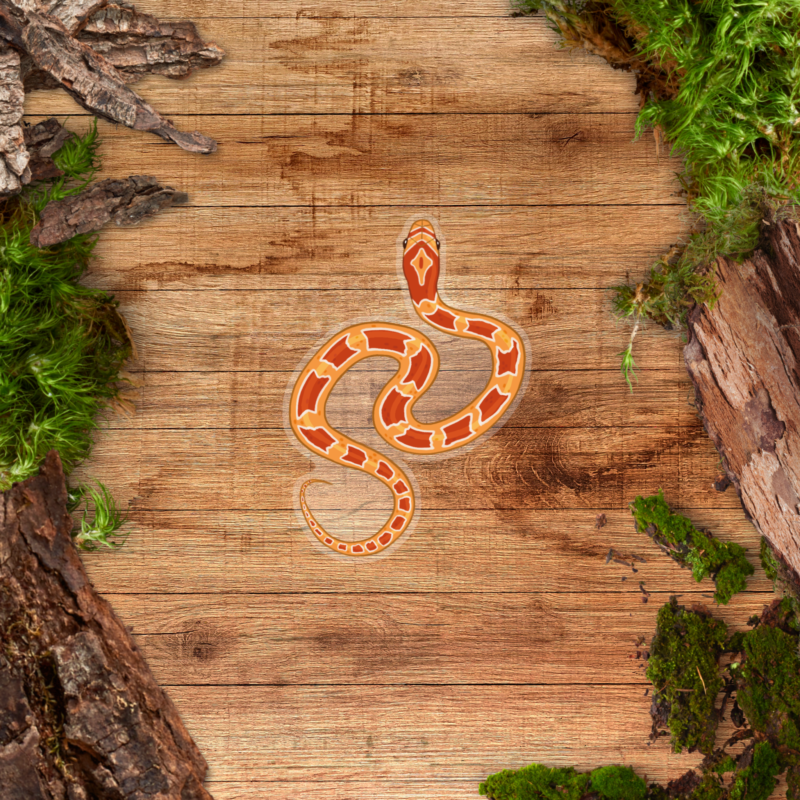 Transparent Sticker - Corn Snake Reverse Okeetee Clear Sticker - Reverse Okeetee Corn Snake